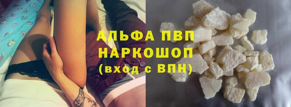 шишки Арсеньев
