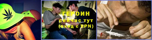 шишки Арсеньев