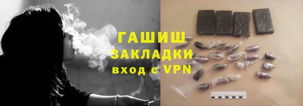 шишки Арсеньев