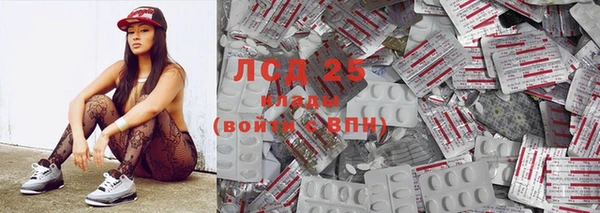шишки Арсеньев
