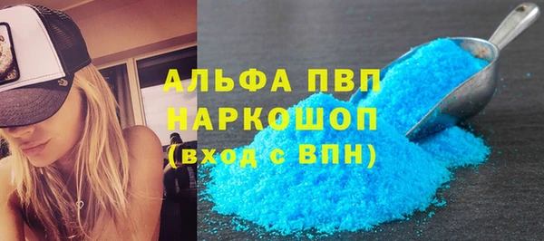шишки Арсеньев
