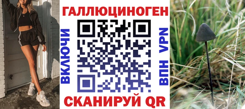 Псилоцибиновые грибы прущие грибы  где продают   kraken tor  Почеп 